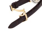 ORIENT 東方錶 東方之星 CLASSIC 羅馬機械錶-金框x咖啡/38.7mm RE-AU0001S, , large
