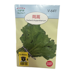 Skystar Garland Chrysanthemum &ndash; Vegetable Seeds, , large