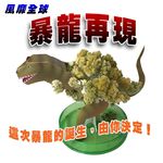 GS MALL 台灣製造 魔法開花成長恐龍樹 開花恐龍樹 恐龍樹 裝飾恐龍 開花樹 暴龍 神奇開花 成長樹 居家裝飾, , large