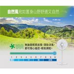 SANLUX 台灣三洋 16吋 台灣製 DC變頻遙控電風扇 立扇 EF-P16DBS1, , large