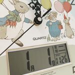 PETER RABBIT, , large