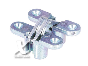 Concealed Hinge
