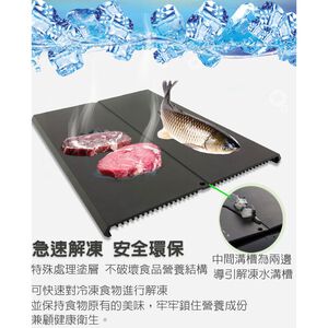GS MALL 台灣製造 59X42cm 一組四入 急速解凍盤 解凍器 解凍板 解凍盤 解凍 料理用具 餐具