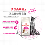 【Royal Canin法國皇家】挑嘴貓營養滿分配方成貓E42, , large