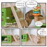 【Y HOUSE】四景三室靜嵐碧翠貓宅 貓跳台 貓爬架 貓窩 貓玩具 粗麻繩柱 貓抓板, , large