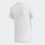 DZ0013, , large