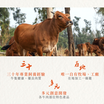 XO Sauce Beef Rice Dumplings, , large