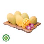 TAP Golden Gem Mango/box, , large