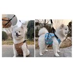 【寵愛生活本舖】寵物夏季可牽引式降溫冰肚兜+圍脖套裝 冰馬甲 寵物冰衣, , large