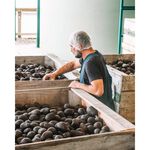 【萊姆】AVO-Pure特級冷壓初榨酪梨油250ml-紐西蘭原裝, , large