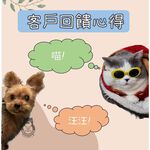 [熊好貼國際]黏貼式壁掛寵物碗 台灣製造 304不鏽鋼 毛小孩 狗碗 貓碗 寵物 餵食用品 喝水器具飼料 零食掛鈎, , large