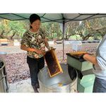 [皇廷] Longan honey 500g, , large