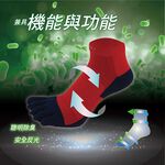 【AREXSPOPT】AS-6121 跑步足弓加壓除臭五趾襪/加壓包覆/馬拉松首選/五指襪/預防水泡/除臭五指襪男女, , large