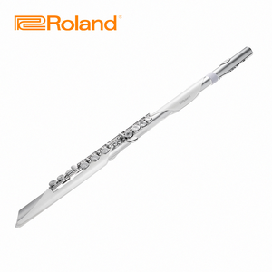 Roland Aerophone AE-Brisa