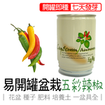 Colorful peppers, , large