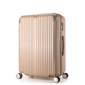【ALLEZ】"Too Late to MeetII" 28-inch Luggage with Metal Corner Elephant Grey