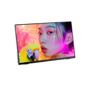 External monitor