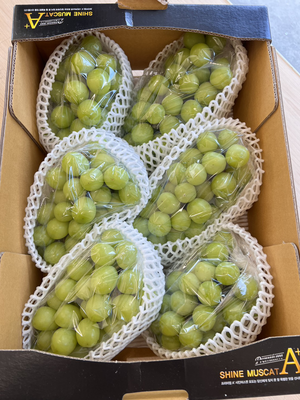  Korean Shine Muscat