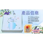 GS MALL 魔術矽膠花瓶 貼式花瓶 花瓶 創意花瓶 壁貼式花瓶 盆栽花瓶 花器 魔術花瓶 矽膠花瓶 壁貼式 創意花瓶, , large