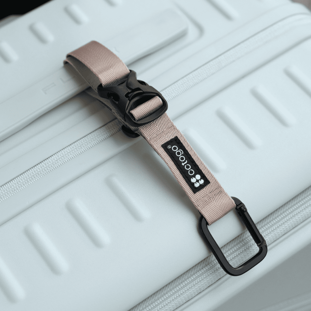 [cctogo]多功能掛釦 沙金, , large