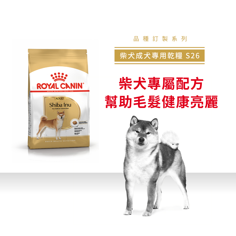 【Royal Canin法國皇家】柴犬成犬S26, , large