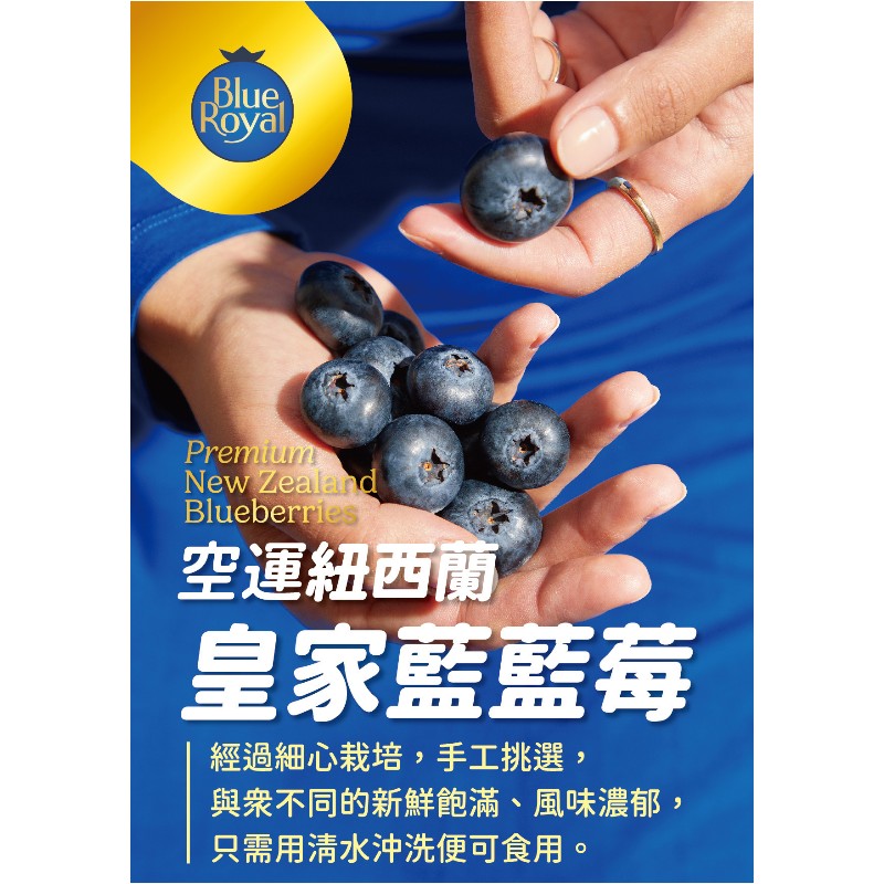 Boxed Jumbo size blueberry 125g , , large