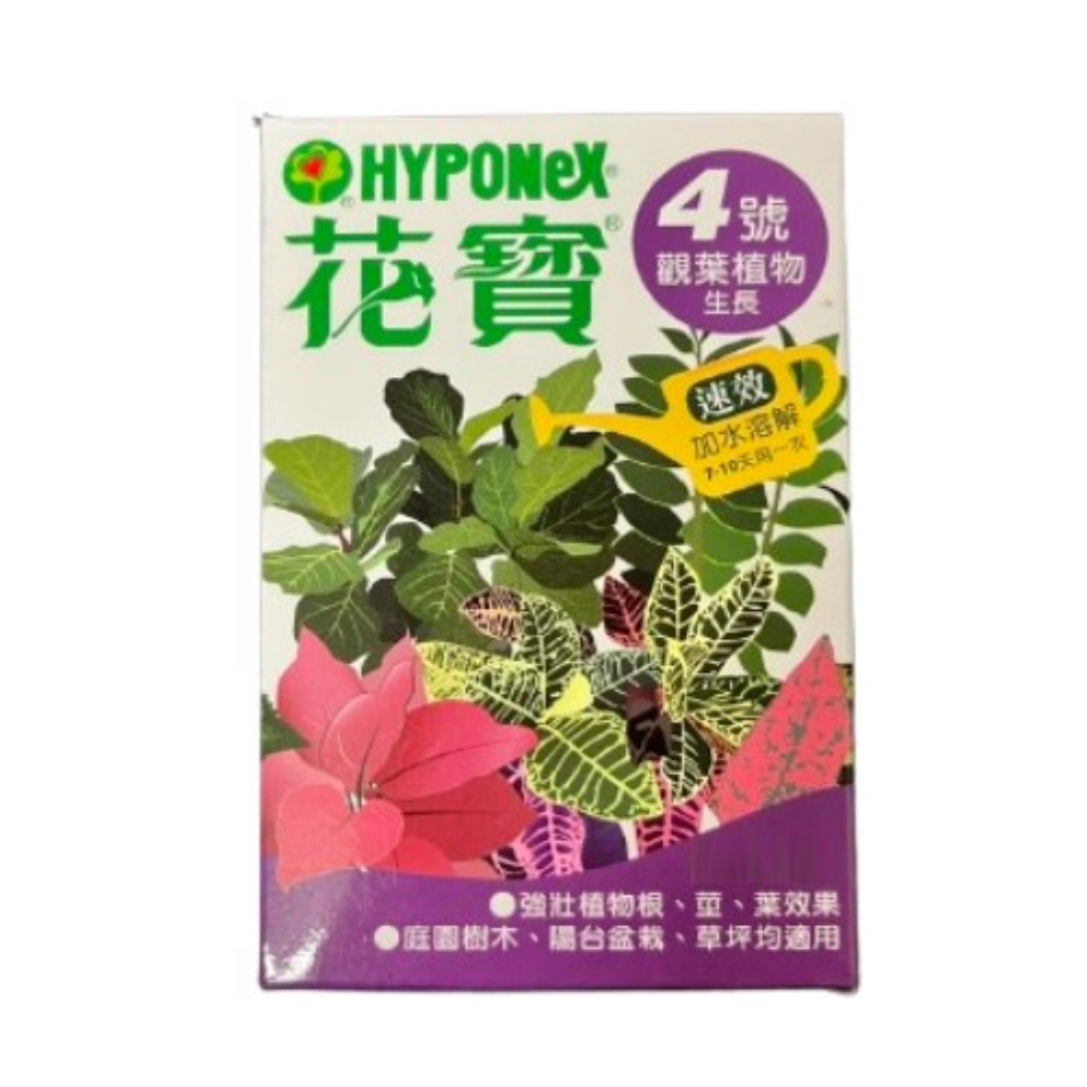 【向花緣】花寶4號 觀葉植物生長 - 150g, , large