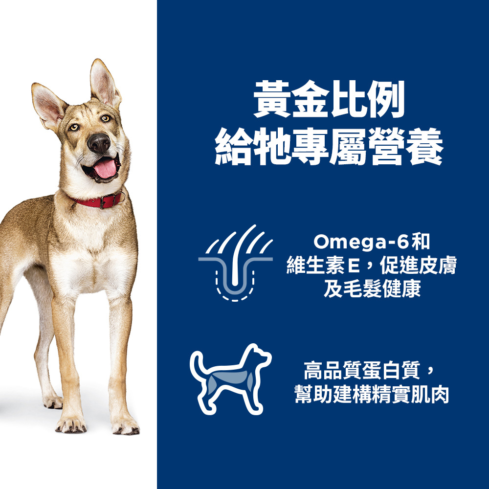 【Hills 希爾思】成犬 鮭魚與糙米特調 4.5磅 2.04kg (608503), , large