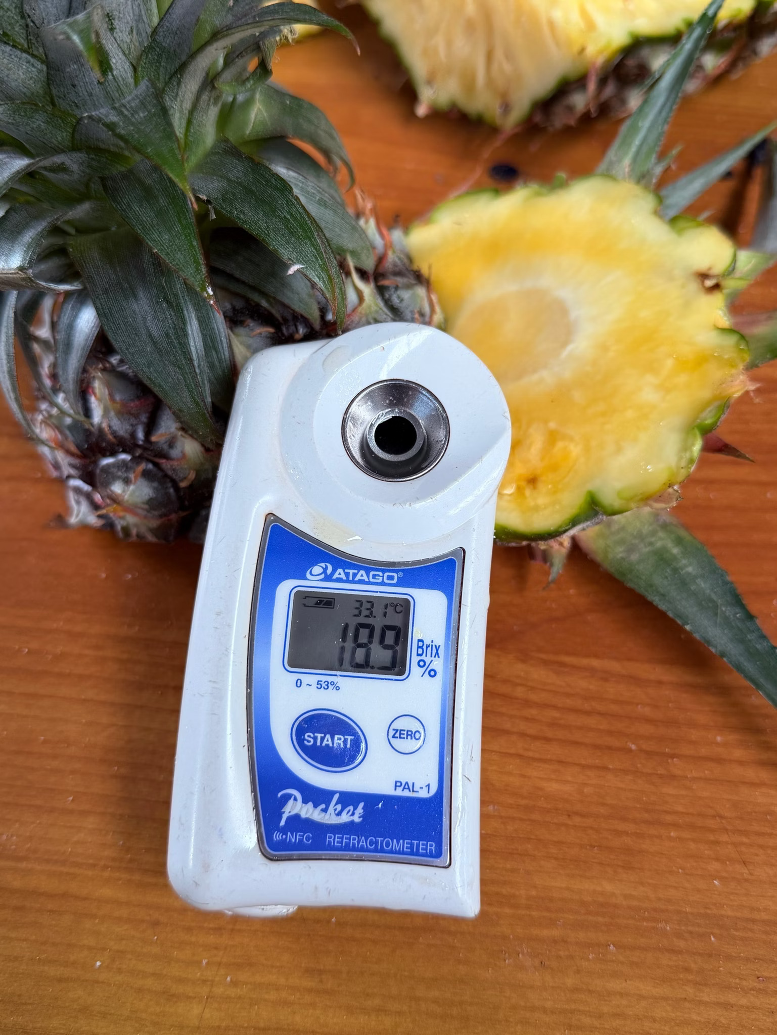 Taiwan Gold Pineapple, , large