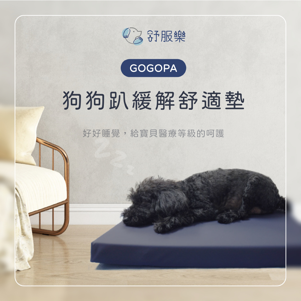 [天群健康] GOGOPA 舒服樂 睡墊 睡床 60*60*4.5公分 照護睡墊 附贈保潔墊, , large