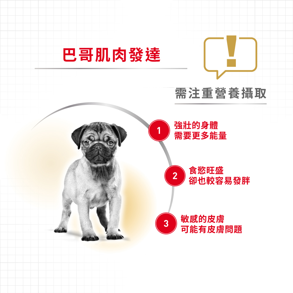 【Royal Canin法國皇家】巴戈成犬PUGA, , large