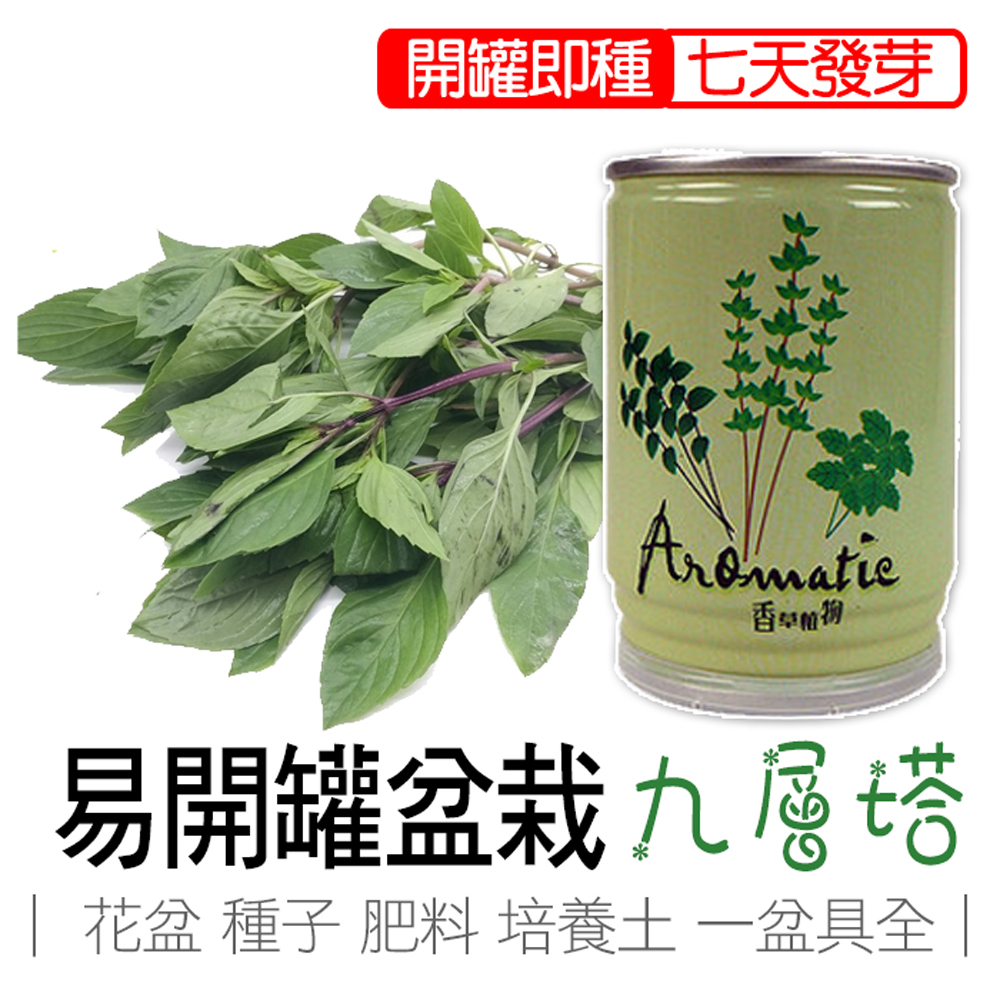 【心安購物】iPlant易開罐盆栽-九層塔, , large
