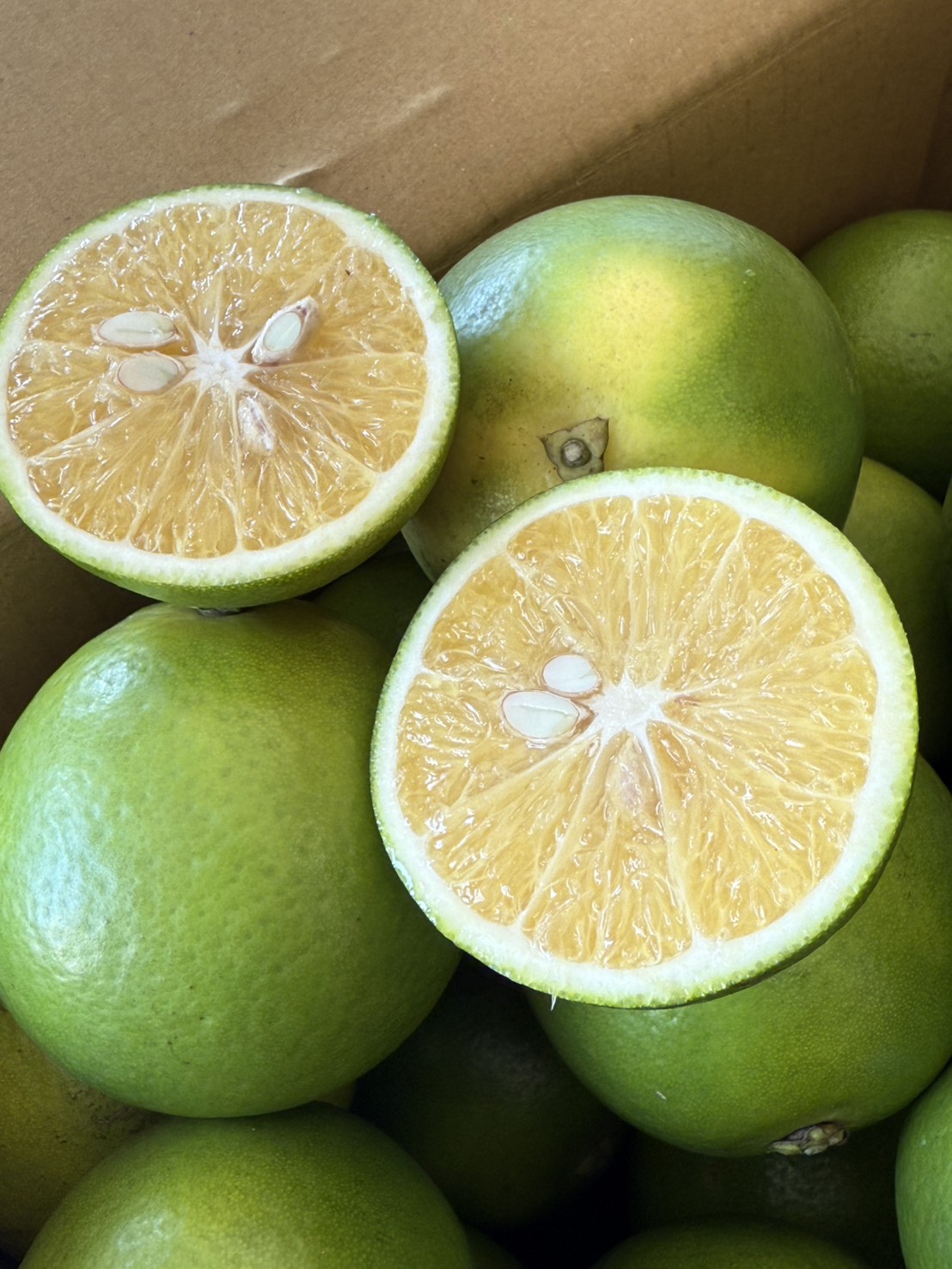 Sweet Orange, , large