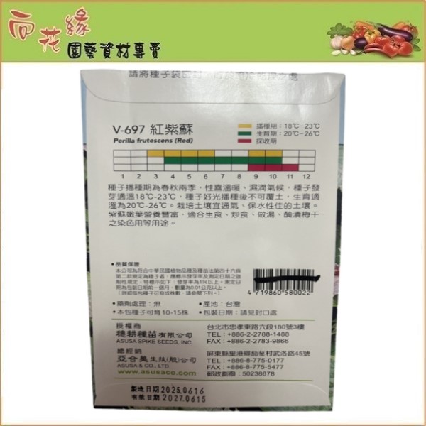 Skystar Red Shiso &ndash; Vegetable Seeds, , large