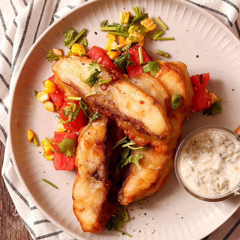 Rachycentridae, , large