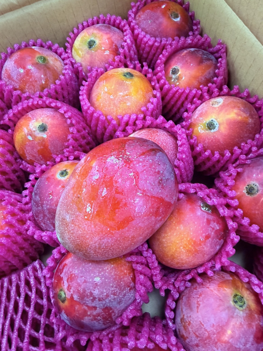 [芯鮮果]枋寮嚴選( 愛文芒果 ), , large