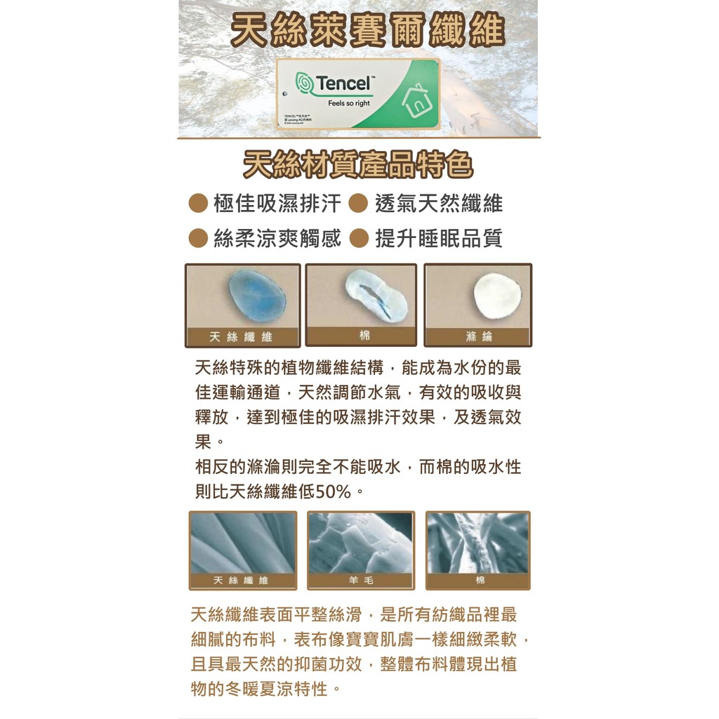 【愛神】40支天絲台灣製造天絲<妙趣恐龍>單人床包組, , large