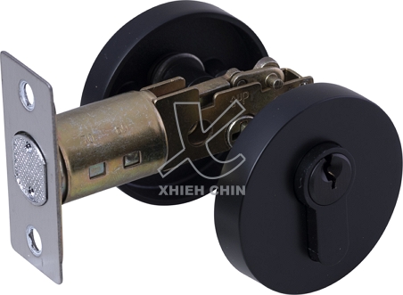 Room level lock + auxiliary lock, , large