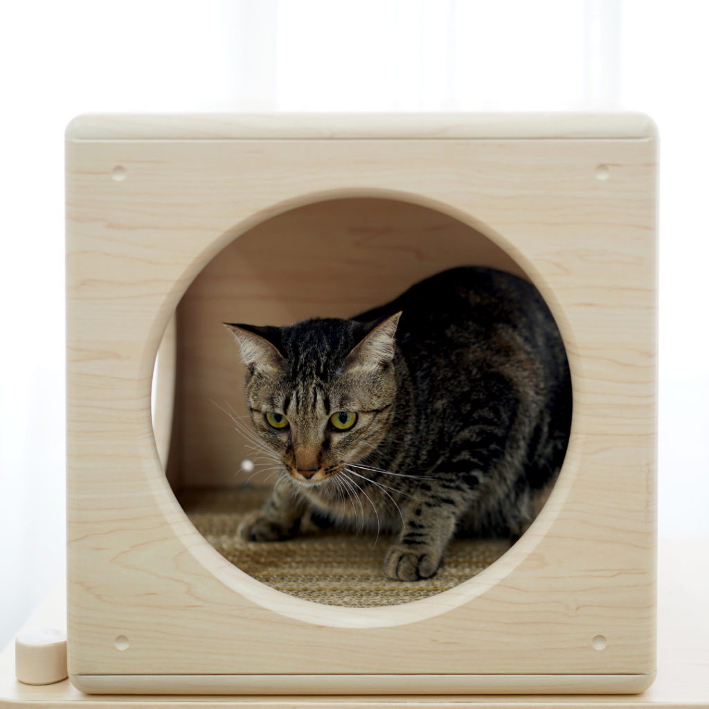 【拍拍】瓦楞抓抓板-32 (方格跳箱窩專用), , large