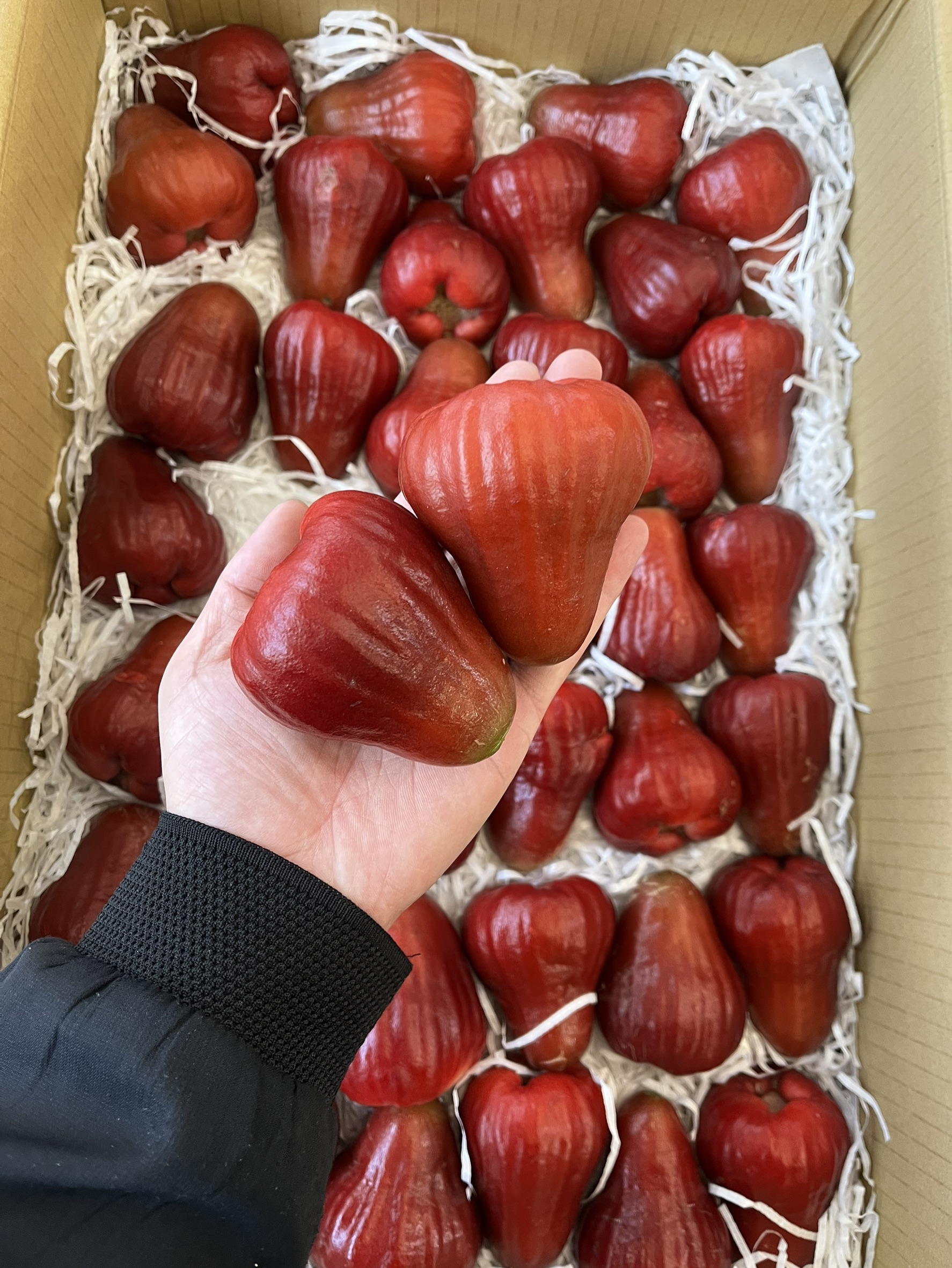 [芯鮮果]台灣嚴選( 黑糖蜜蓮霧 ), , large