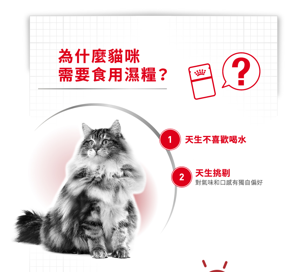 Royal Canin, , large