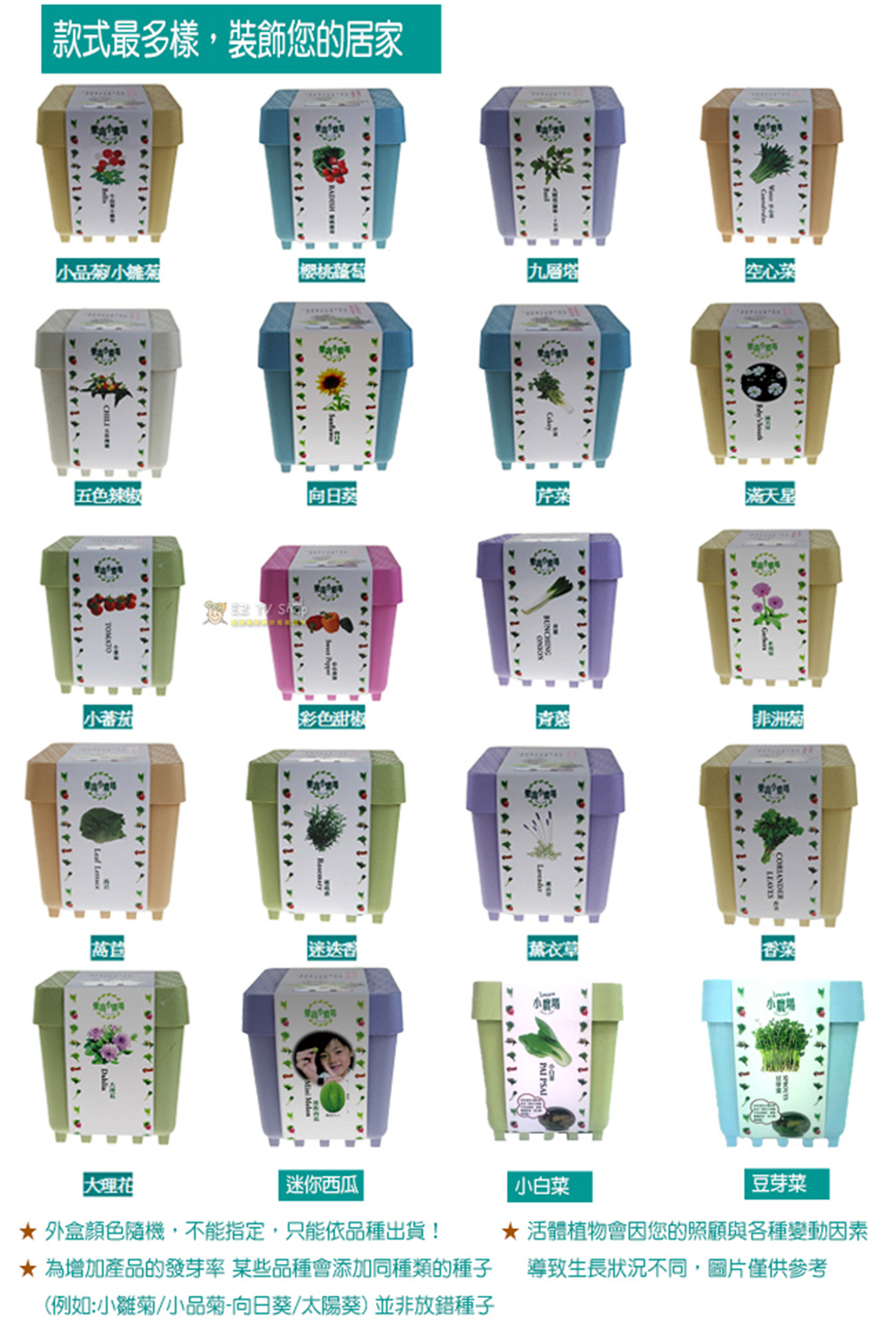 【心安購物】iPlant積木盆栽-冰花菜, , large