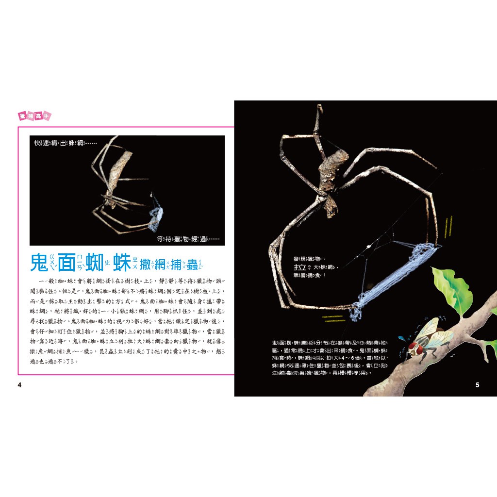 [小牛頓]動物生存高手：就是要吃東西 適合9-12歲 精裝全彩 高清照片搭動物影片, , large