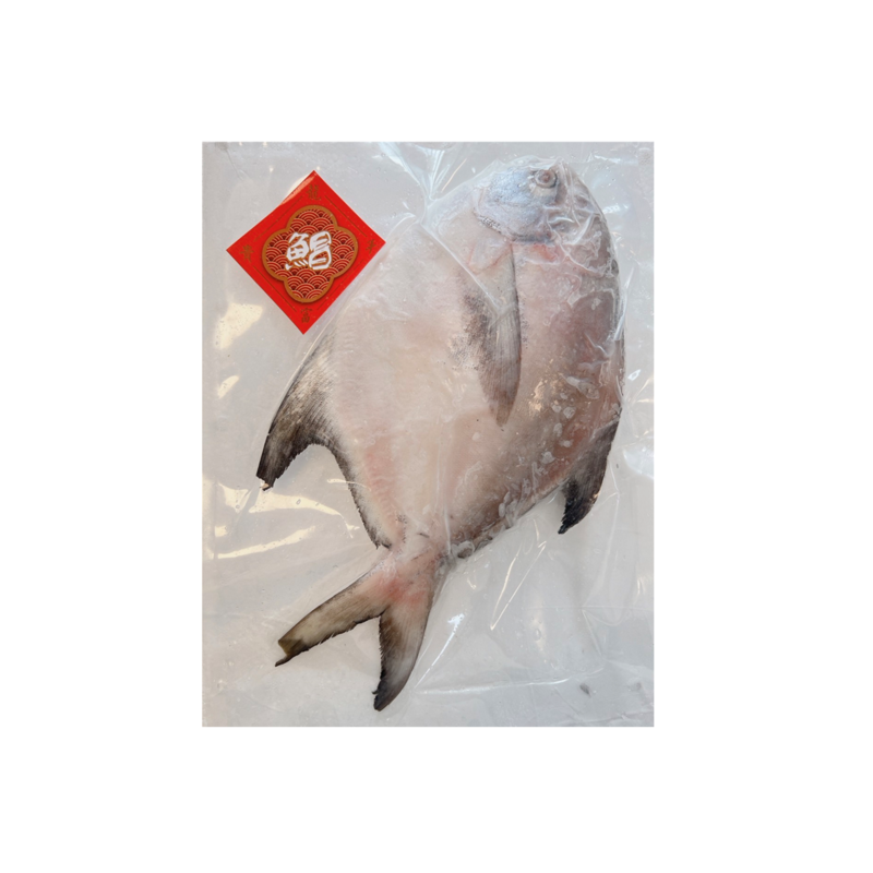 冷凍白鯧 400-500g, , large