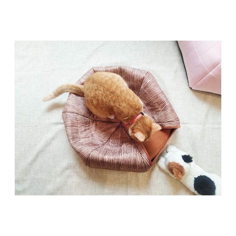 Lucky Me for pet, , large
