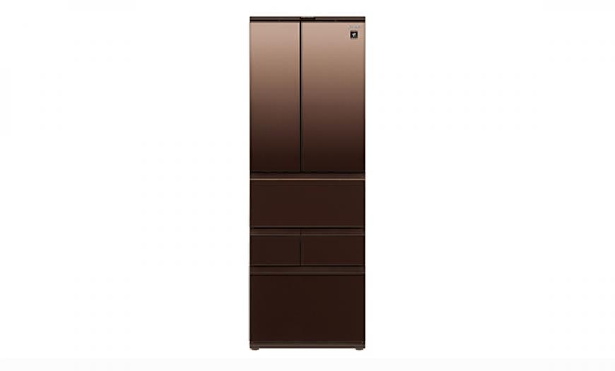 SHARP 夏普SJ-GK51AT-T 504L自動除菌離子六門變頻冰箱 璀璨棕