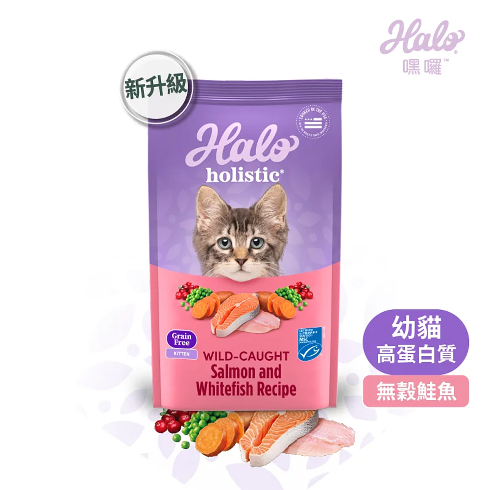 HALO, , large