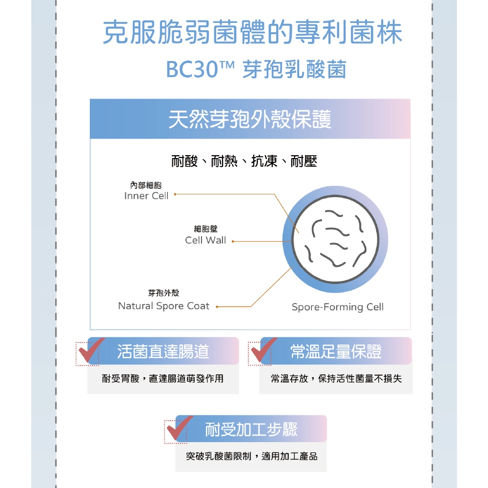 【虎揚】LIFE+ PRO BC 樂多菌 60g 益生菌 寵物保健, , large