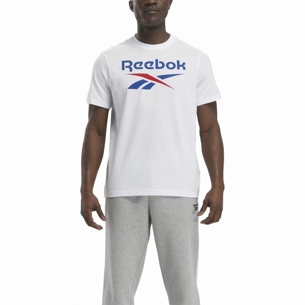 Reebok Identity Big Logo Tee 男 短袖 上衣 T恤 白 [100037049], , large