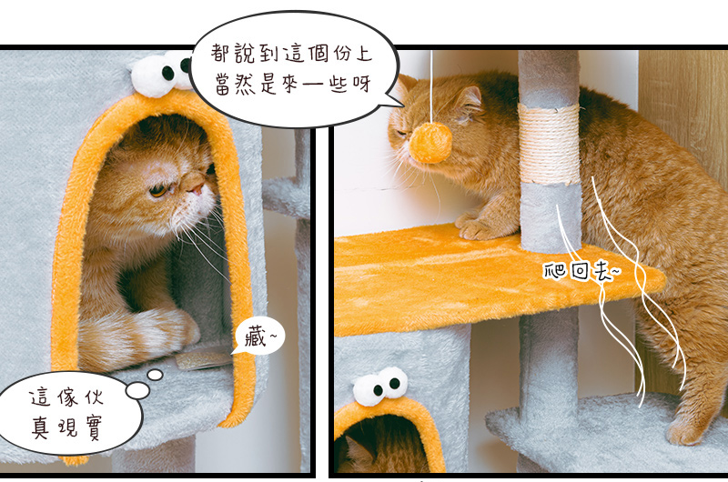 【Y HOUSE】Four views and one room Yunmiao House cat house/cat jumping platform/cat climbing frame/cat bed/cat toys/flannel/large cat bed, , large